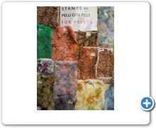 collection 10 Stampe fantasia 01 su pelo